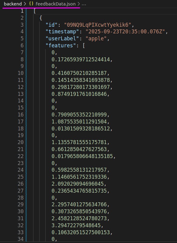 Data Features Images